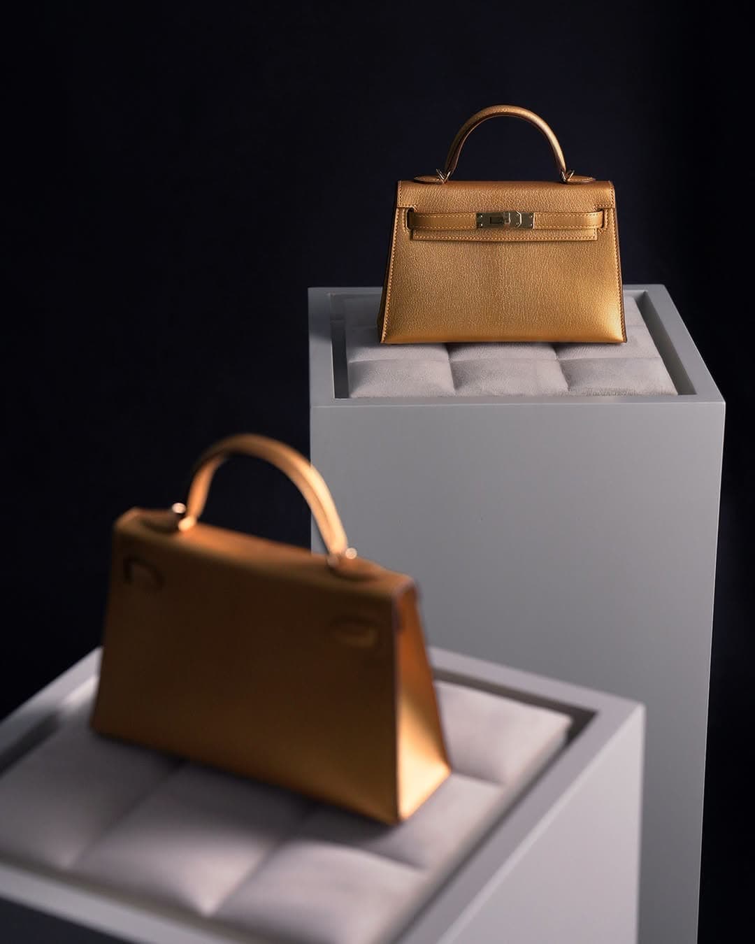 Falcons — bag editorial 2